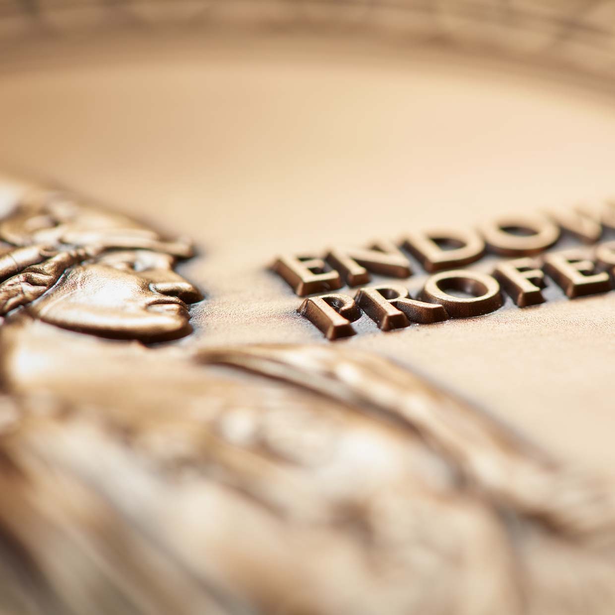Endowed Professor Medal Detail